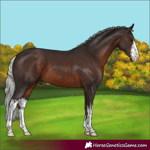 Horse Color:White Spotted Silver Brown 