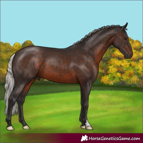 Horse Color:Silver Brown 