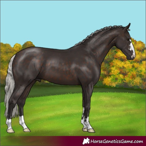 Horse Color:Silver Brown