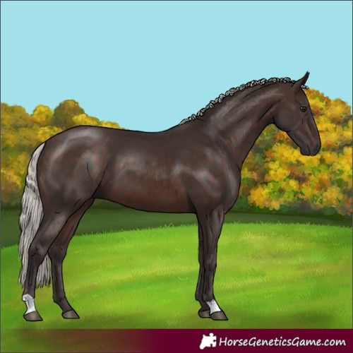 Horse Color:Silver Brown 