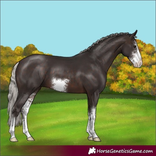 Horse Color:Silver Brown Sabino