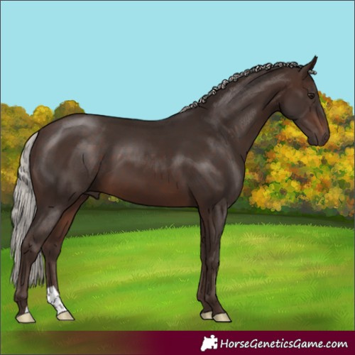 Horse Color:Silver Brown 