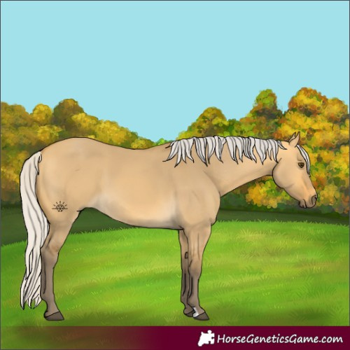 Horse Color:Silver Buckskin Dun 