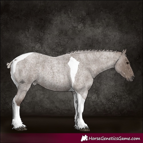 Horse Color:Silver Blue Roan Tobiano 