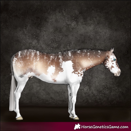 Horse Color:Powder White Liver Red Onyx Splash 