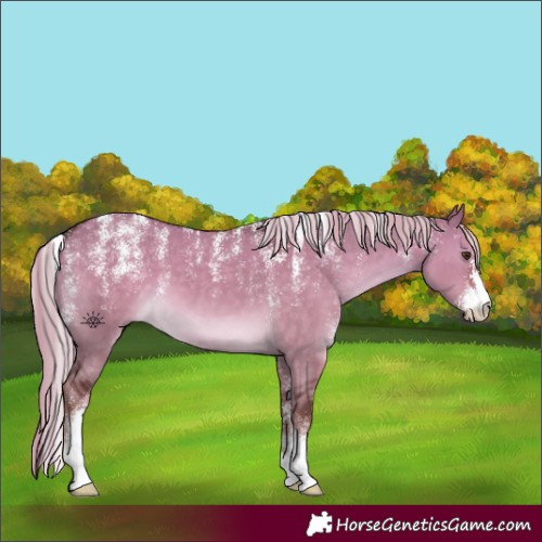 Horse Color:Powder White Chocolate Palomino Dun 