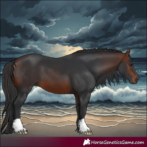 Horse Color:Brown 