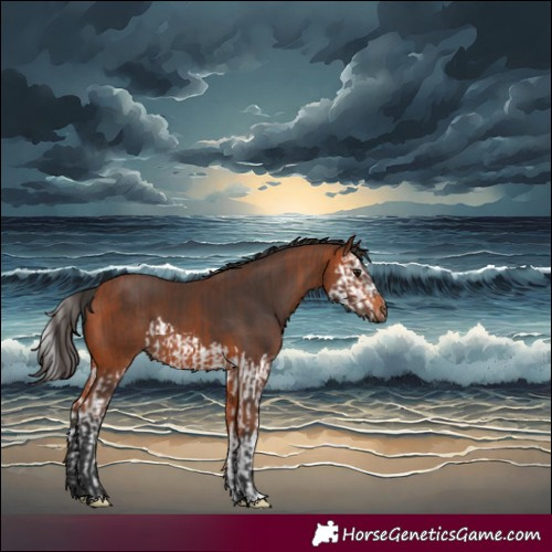 Horse Color:Brown Splash  and Bay 