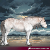 Horse Color:White Spotted Bay