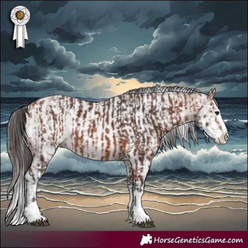 Horse Color:Bay Splash  and White Spotted Bay Splash 