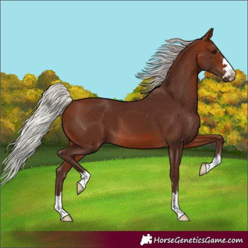 Horse Color:Silver Bay