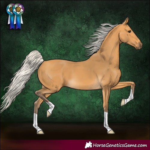 Horse Color:Silver Buckskin 
