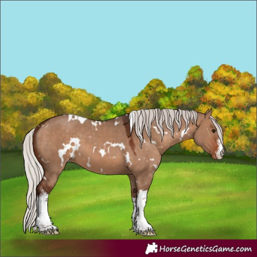 Horse Color:White Spotted Silver Brown Dun Varnish 