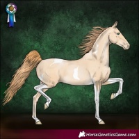 Horse Color:Buckskin Pearl Tobiano 