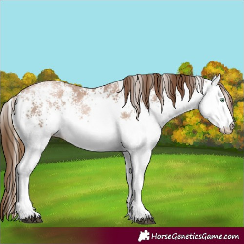 Horse Color:White Spotted Liver Chestnut Pearl 