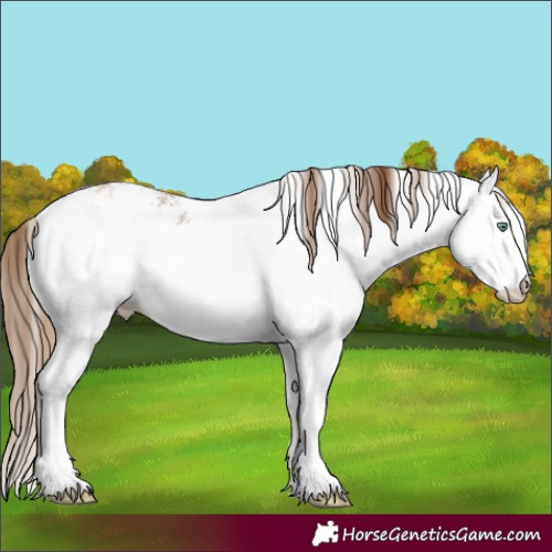 Horse Color:White Spotted Liver Chestnut Pearl 
