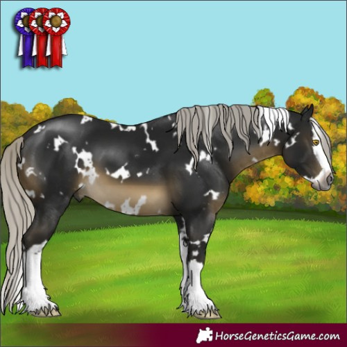 Horse Color:Gray White Spotted Silver Buckskin Mushroom Splash 