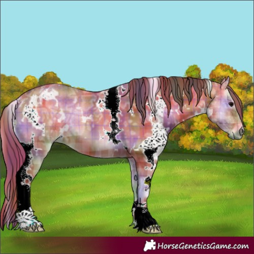 Horse Color:Nacre Plaid White Spotted Chocolate Bay Ice Onyx