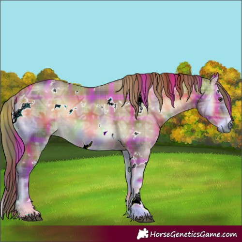 Horse Color:Nacre Plaid  White Spotted Red Onyx Ice 