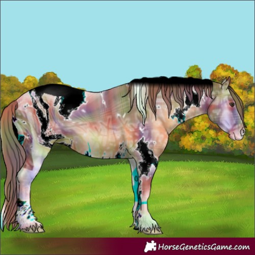 Horse Color:ERROR: UNKNOWN ANOMALY