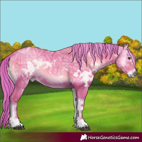 Horse Color:Watercolor White Spotted Red Onyx Ice 