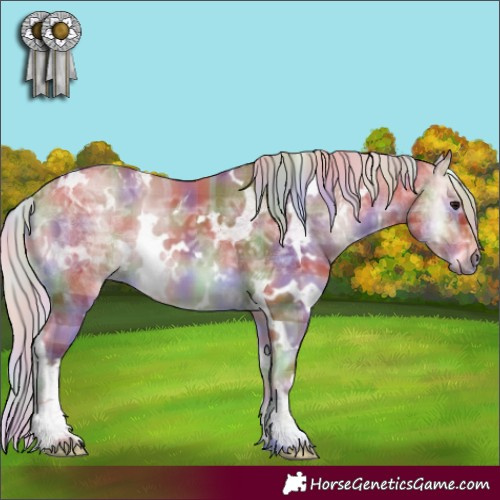 Horse Color:Nacre Plaid  White Spotted Chocolate Silver Bay Ice Onyx 
