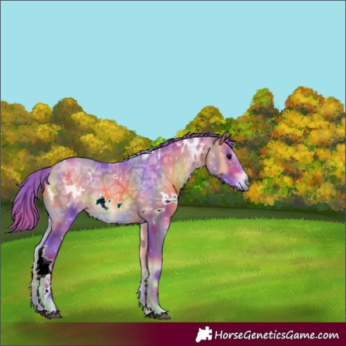 Horse Color:Nacre Watercolor White Spotted Chocolate Bay Ice Onyx 
