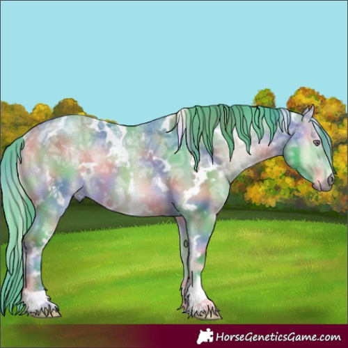Horse Color:Nacre Watercolor White Spotted Bay Chinchilla Ice Onyx 