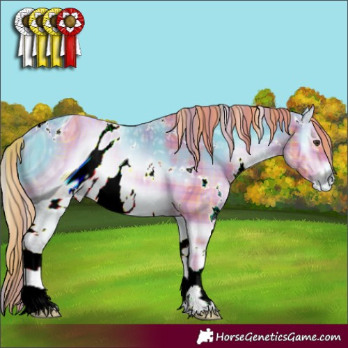 Horse Color:ERROR: UNKNOWN ANOMALY