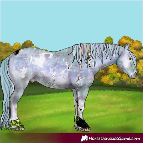 Horse Color:Watercolor Plaid White Spotted Red Onyx Ice