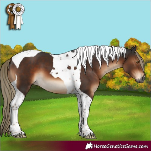 Horse Color:Gray Liver Chestnut Mushroom Tobiano