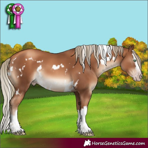 Horse Color:Gray White Spotted Gold Champagne Mushroom Splash 