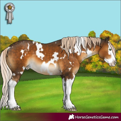 Horse Color:White Spotted Chocolate Palomino Splash