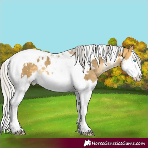 Horse Color:White Spotted Silver Amber Cream Champagne Mushroom Splash Tobiano 