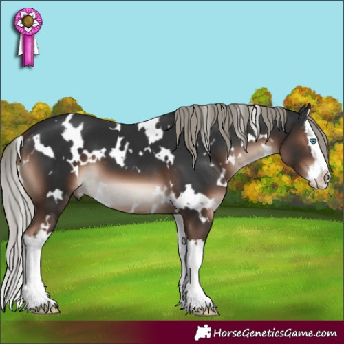 Horse Color:White Spotted Liver Chestnut Mushroom Splash
