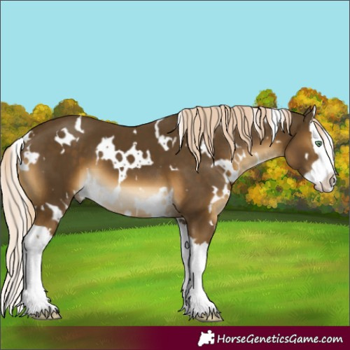 Horse Color:White Spotted Chocolate Palomino Mushroom Splash 
