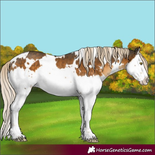 Horse Color:White Spotted Chocolate Palomino Mushroom Splash Rabicano 