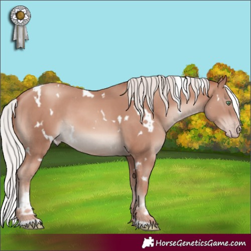 Horse Color:White Spotted Silver Sable Champagne Mushroom 