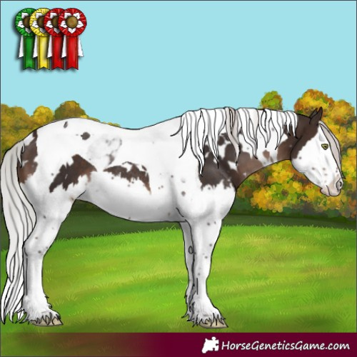 Horse Color:White Spotted Silver Brown Mushroom Splash Tobiano Rabicano