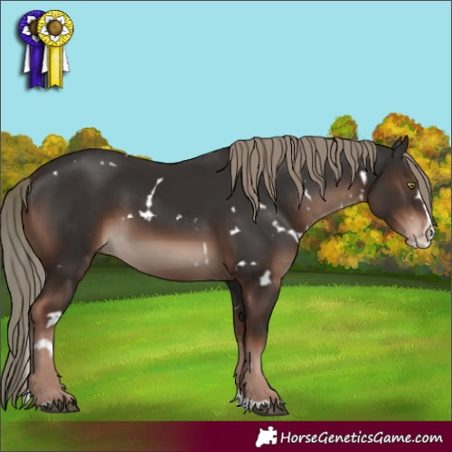 Horse Color:White Spotted Liver Chestnut Mushroom Splash Rabicano 