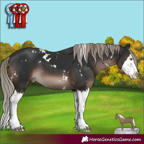 Horse Color:White Spotted Liver Chestnut Mushroom Splash 