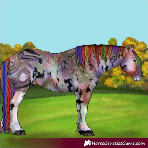 Horse Color:ERROR: UNKNOWN ANOMALY