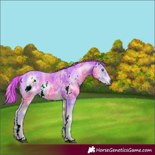 Horse Color:ERROR: UNKNOWN ANOMALY