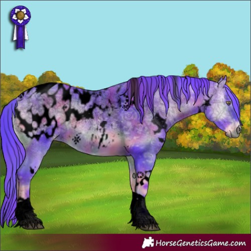 Horse Color:Gray Void Nacre Watercolor White Spotted Bay Chinchilla Ice Onyx Tobiano Appaloosa 