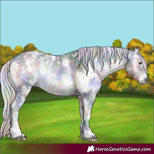 Horse Color:Nacre White Spotted Silver Blue Onyx Chinchilla Ice