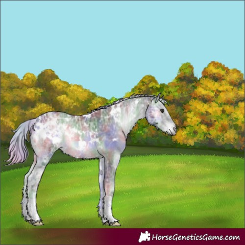 Horse Color:Nacre White Spotted Silver Blue Onyx Chinchilla Ice 