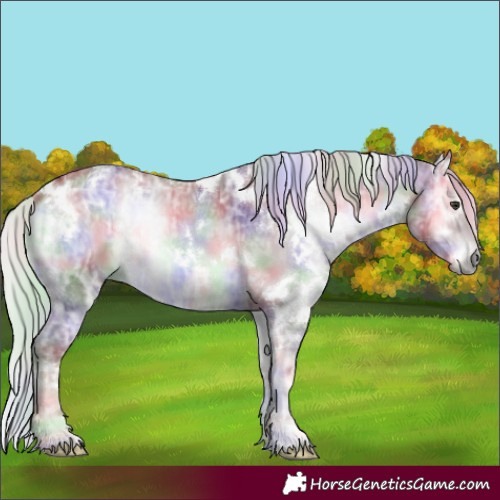 Horse Color:Nacre White Spotted Chocolate Silver Blue Onyx Chinchilla Ice 