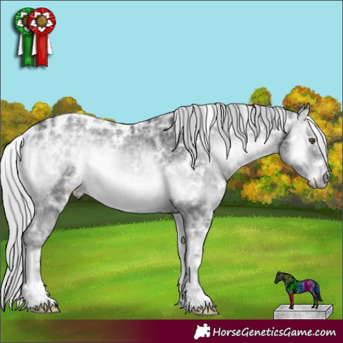 Horse Color:White Spotted Silver Blue Onyx Chinchilla Ice