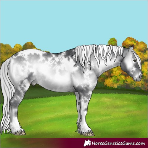 Horse Color:White Spotted Silver Blue Onyx Chinchilla 
