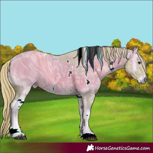 Horse Color:ERROR: UNKNOWN ANOMALY